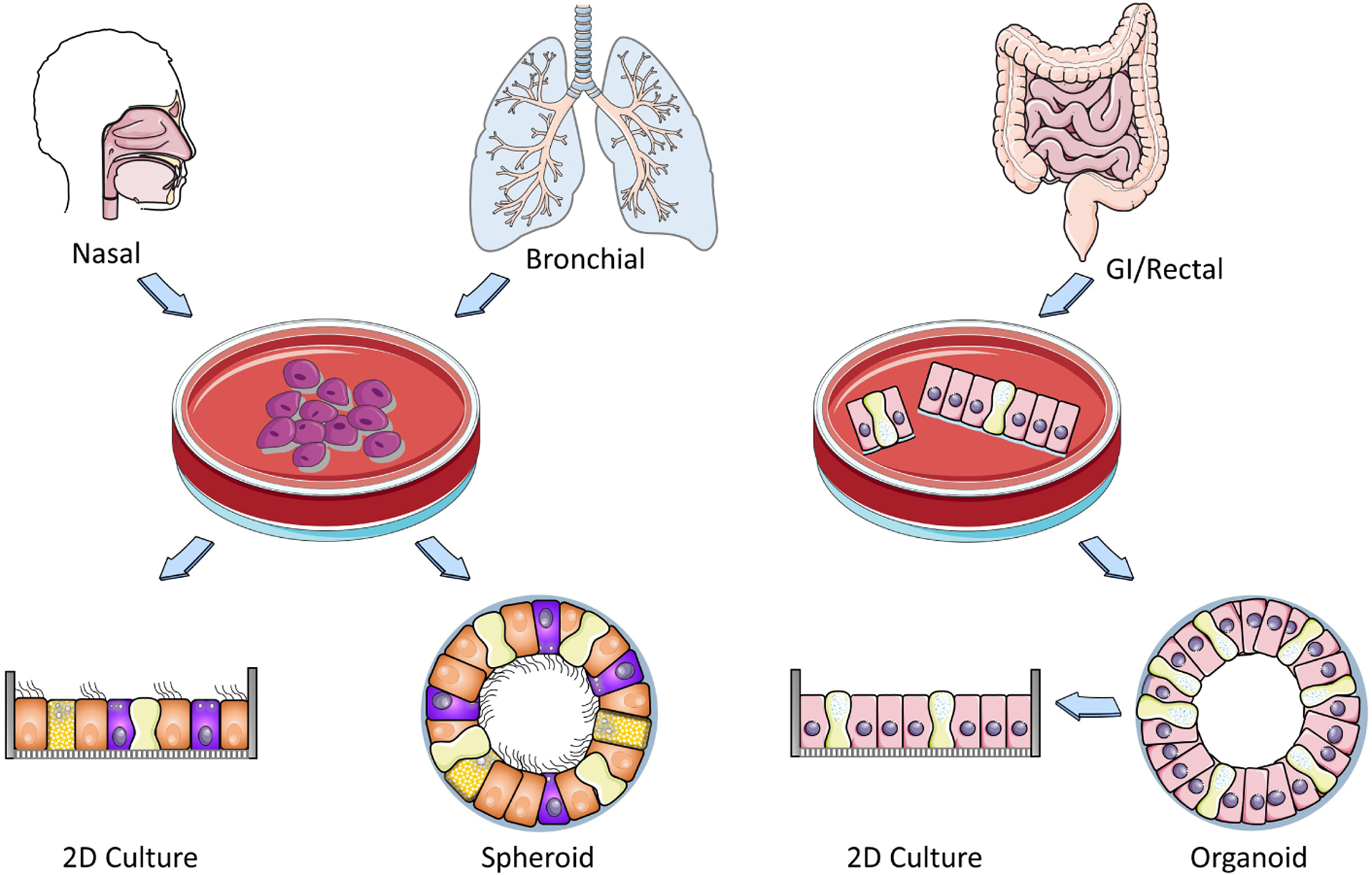 Figure 1: