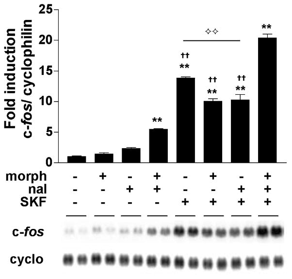 Fig. 9