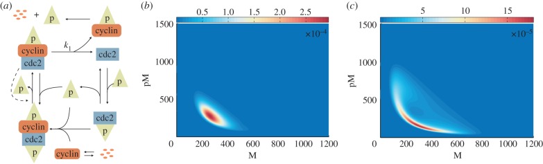 Figure 4.