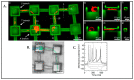 Figure 21