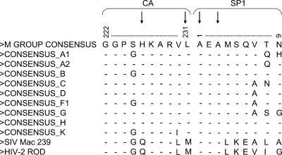 FIG. 10.