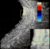 Figure 21