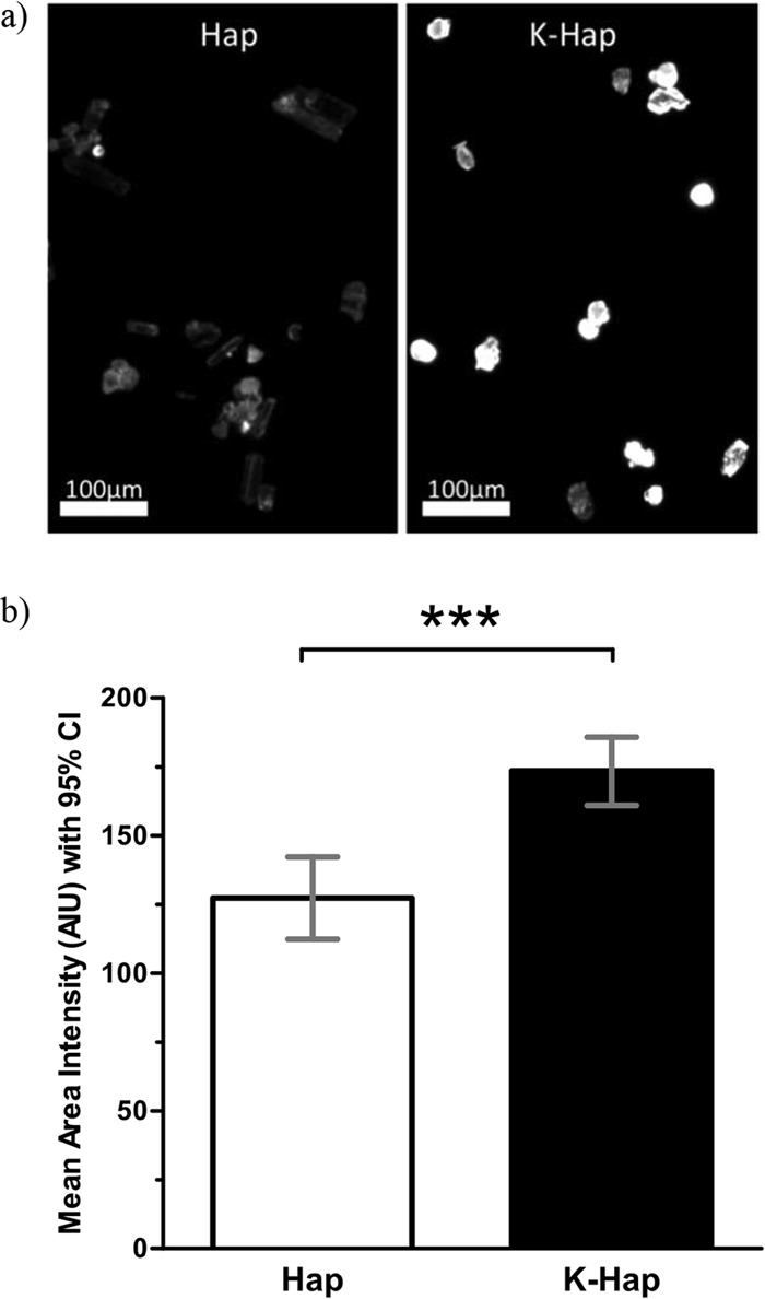 FIG 2