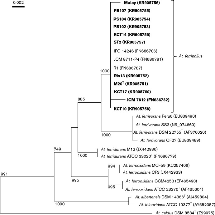 Fig. 1