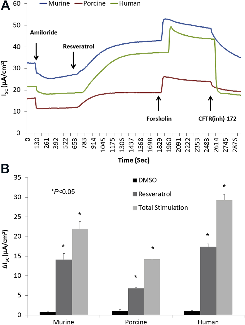 Fig. 3