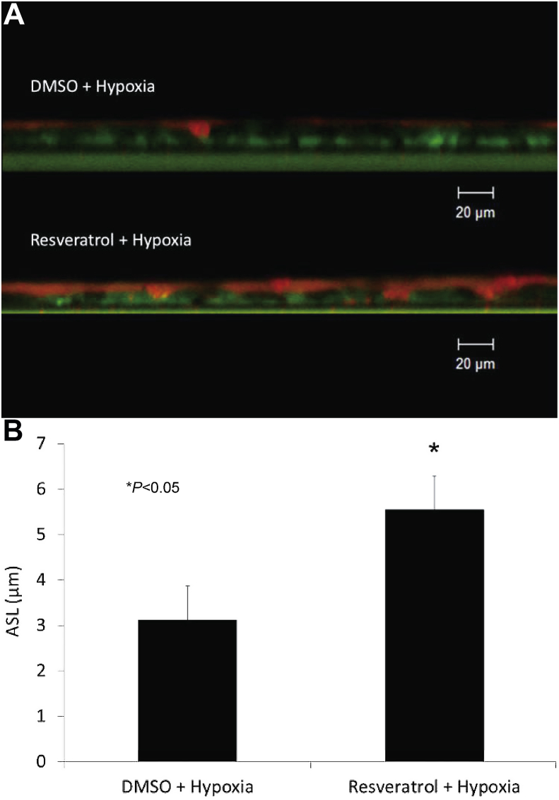 Fig. 4