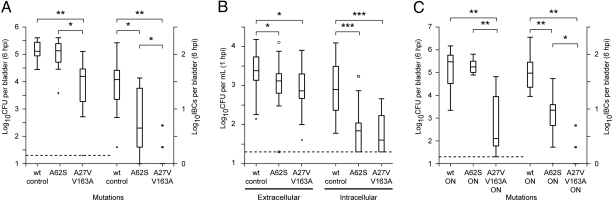 Fig. 3.