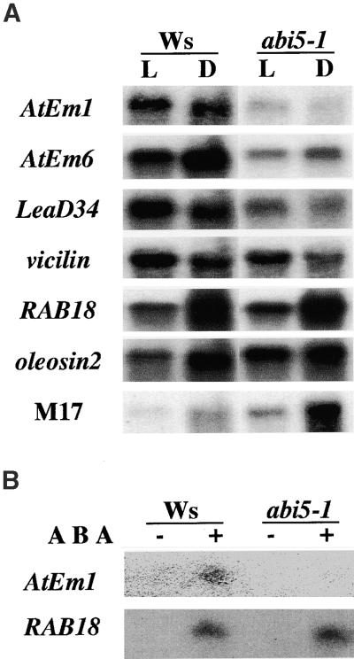 Figure 6.