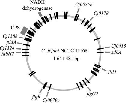 FIG. 3.