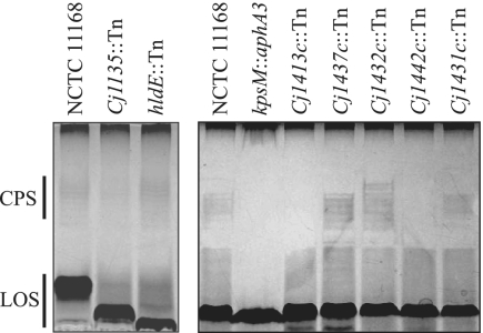 FIG. 5.