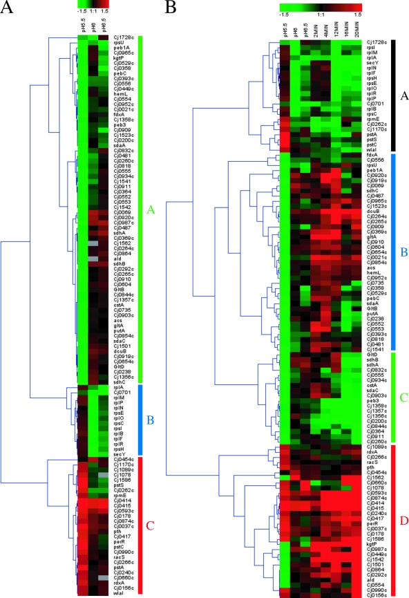 FIG. 2.