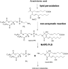 Fig. 8.
