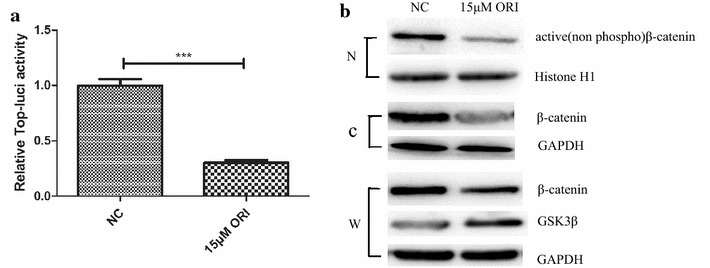 Fig. 3