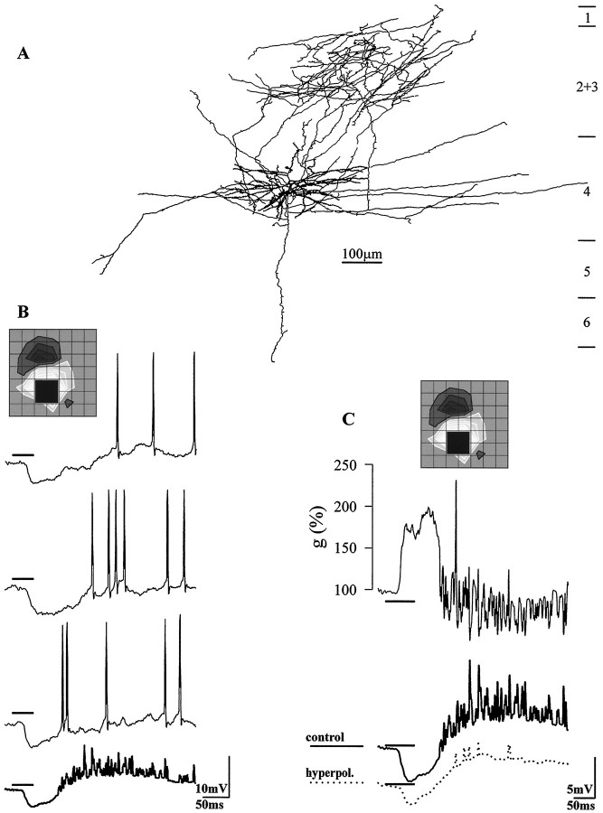 Fig. 2.