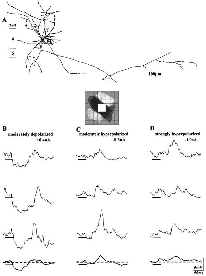 Fig. 4.