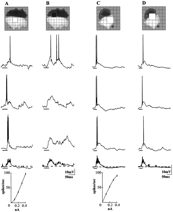 Fig. 6.