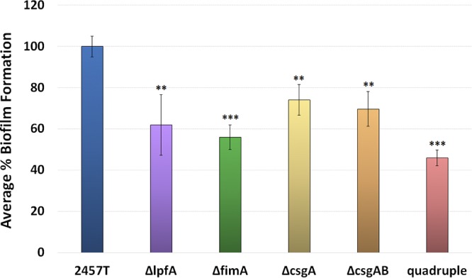 FIG 6