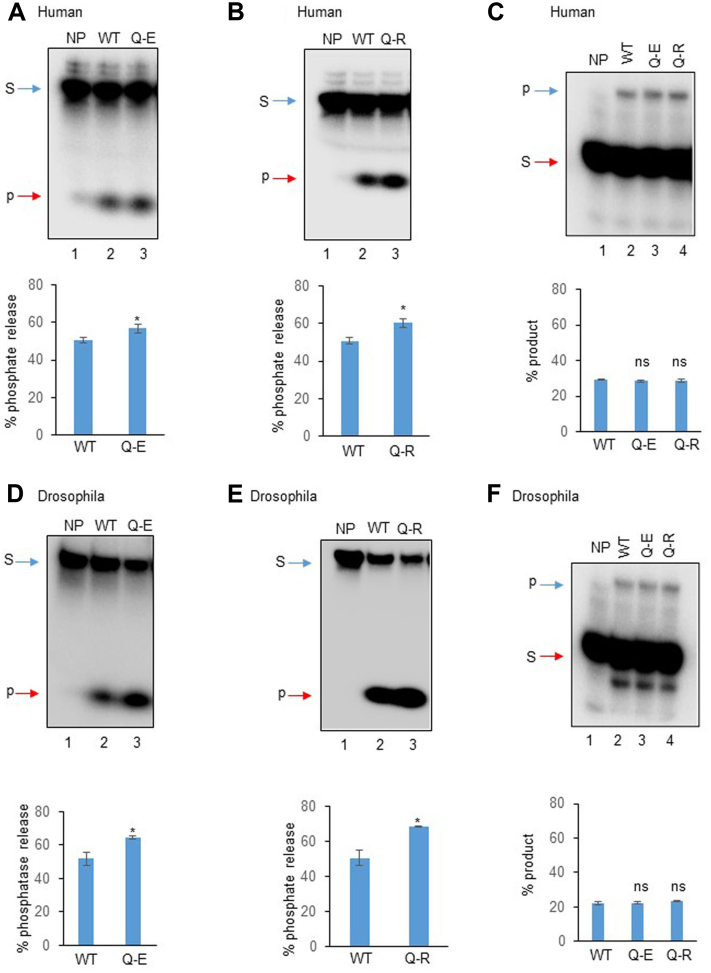 Figure 2