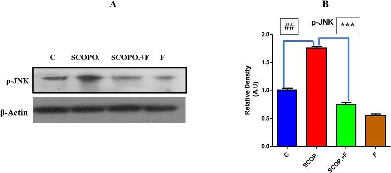 Fig. 5