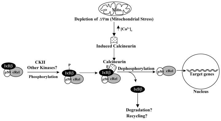 Figure 9.