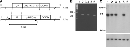 Figure 9.