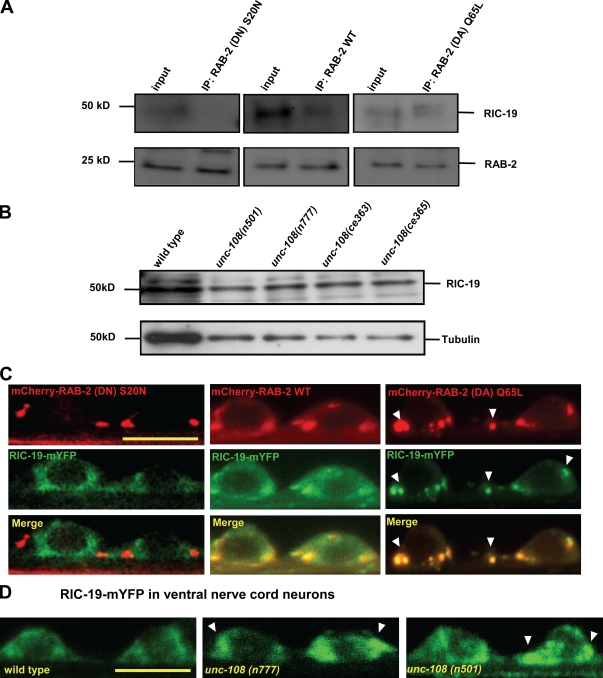 Figure 10.