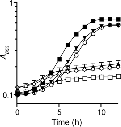 Fig. 5.