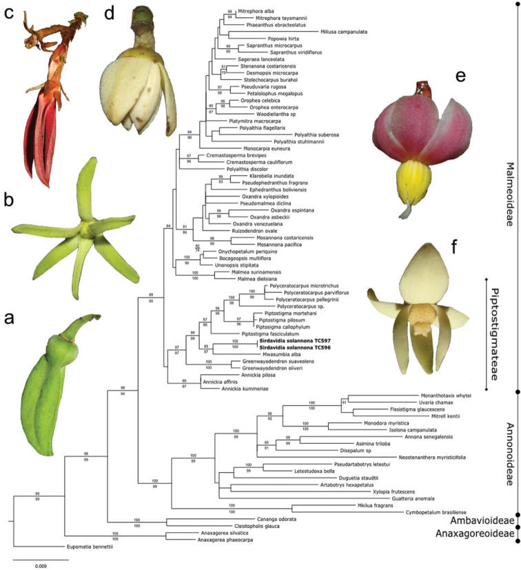 Figure 1.