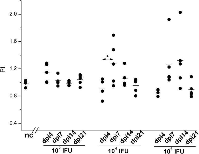 Fig 6