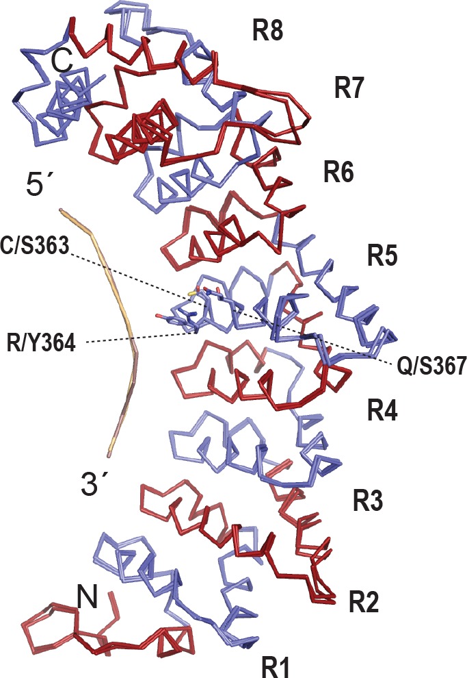 Figure 3—figure supplement 3.