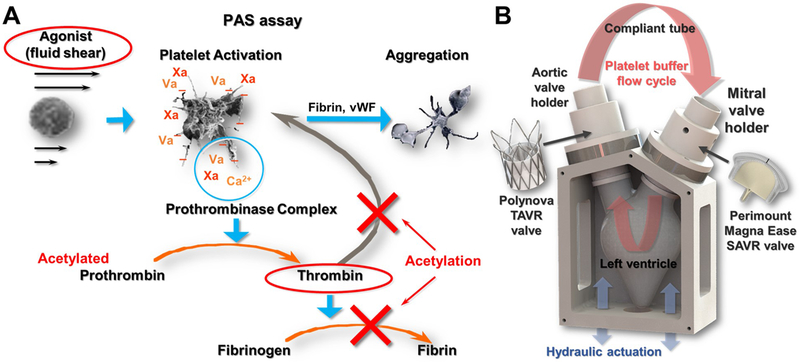 Figure 10: