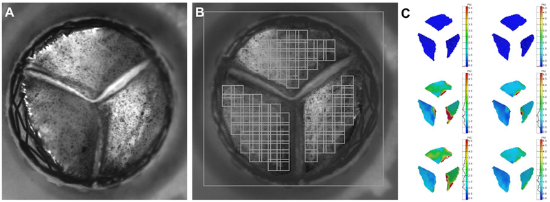 Figure 9: