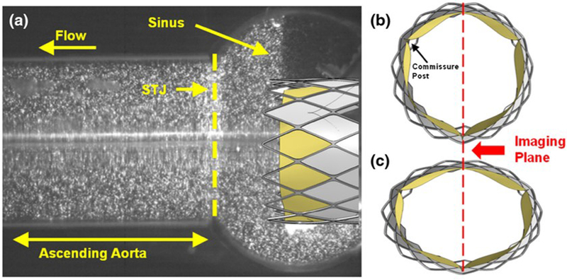 Figure 7: