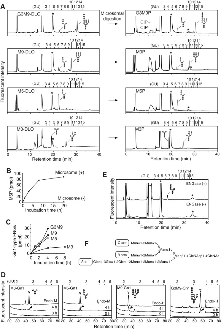 FIGURE 4.