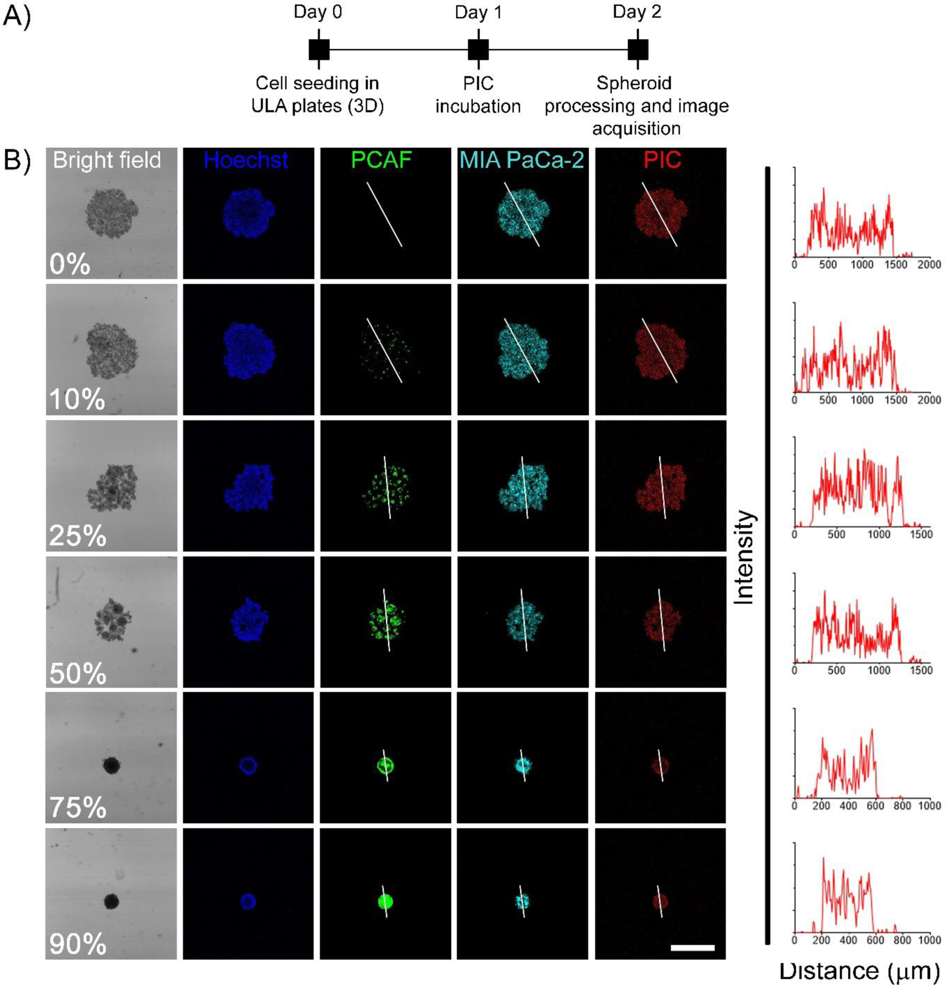 Figure 7: