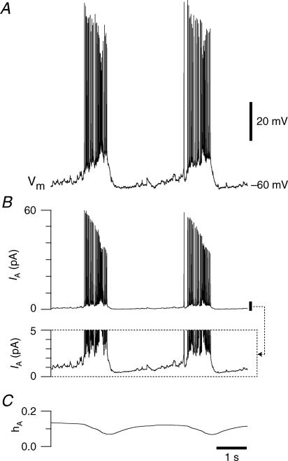 Figure 6