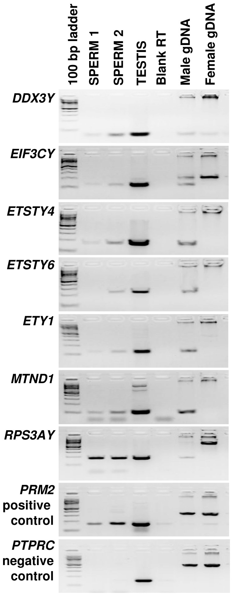 Figure 7