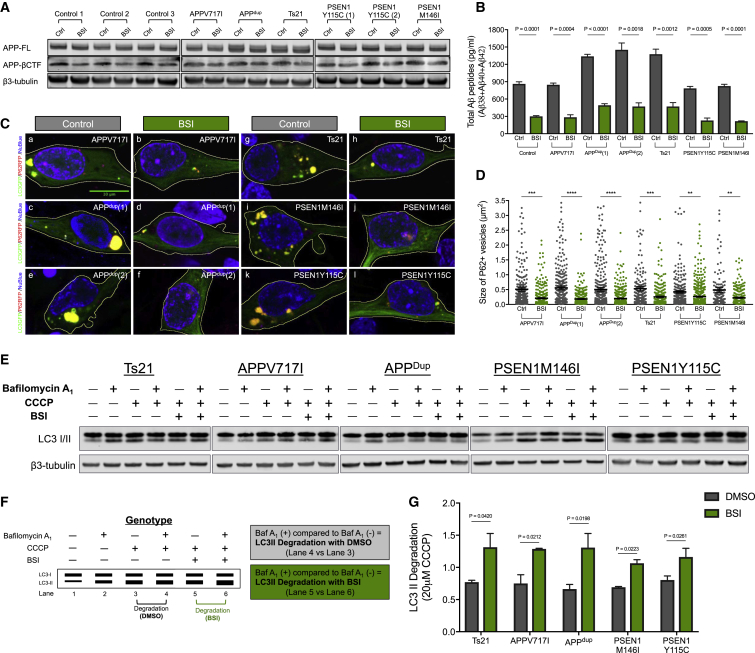 Figure 6