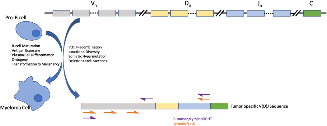 Figure 2: