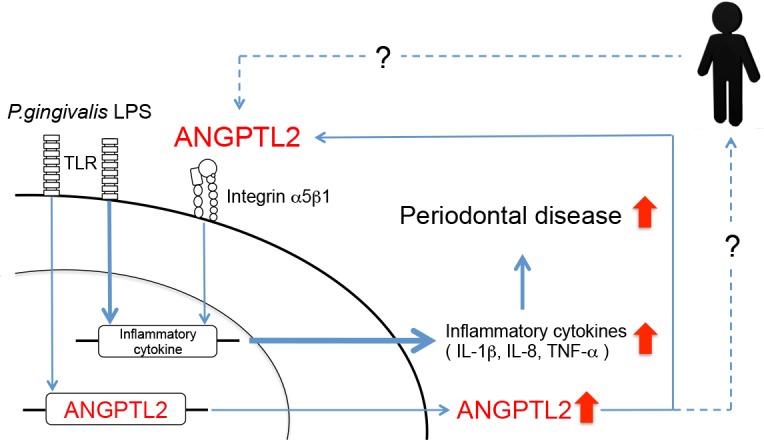 Fig 7