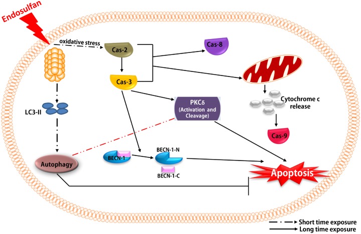 Figure 10.