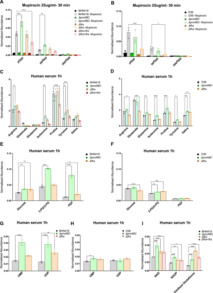 Bar charts show abundance of bacterial intracellular components after 1 hour in THY or human serum for wild-type, ΔproABC, Δfhs, and Δfhs+fhs strains. Alarmones pGpp, ppGpp, and pppGpp were measured in response to 25 µg/ml mupirocin.