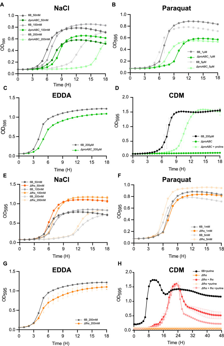 Graphs depict OD595 over time for various S. pneumoniae strains (6B, ΔproABC, Δfhs, Δfhs+fhs) in different conditions: THY +/- NaCl, Paraquat, EDDA, and CDM. Each graph illustrates growth dynamics, comparing responses across conditions and strains.