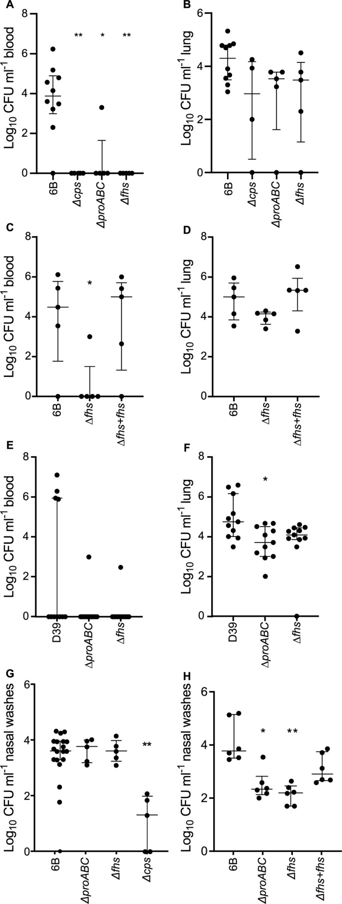 Graph depicts Log10 CFU/milliliter blood, lung tissue and nasal washes for various conditions: S. pneumoniae (6B, Δcps, ΔproABC, Δfhs), (6B, Δfhs, Δfhs+fhs), (D39, ΔproABC, Δfhs) at 18 h.