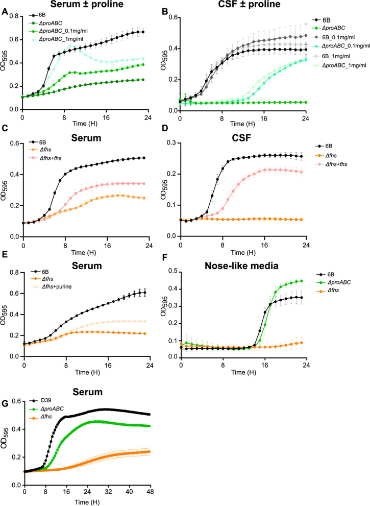 Graphs show OD595 over time for various strains (6B, ΔproABC, Δfhs, Δfhs+fhs), (D39, ΔproABC, Δfhs) in different media: Serum +/- proline, CSF +/- proline, Serum +/- purine, and nose-like media. Each graph compares growth dynamics under these conditions.