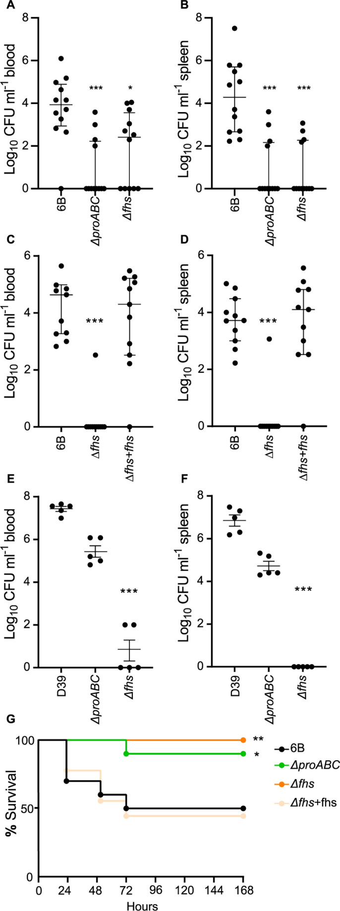 Graphs depict Log10 CFU/milliliter in blood and spleen for S. pneumoniae (6B, ΔproABC, Δfhs), (6B, Δfhs, Δfhs+fhs), (D39, ΔproABC, Δfhs) at 24 h. Final graph displays survival over time for 6B, ΔproABC, Δfhs and Δfhs+fhs.