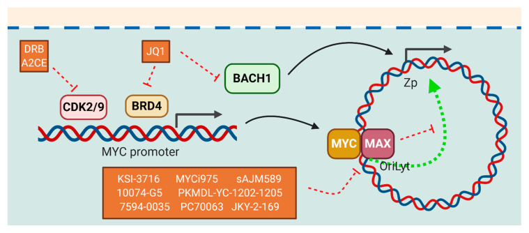 Figure 6