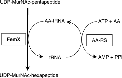 Figure 2.