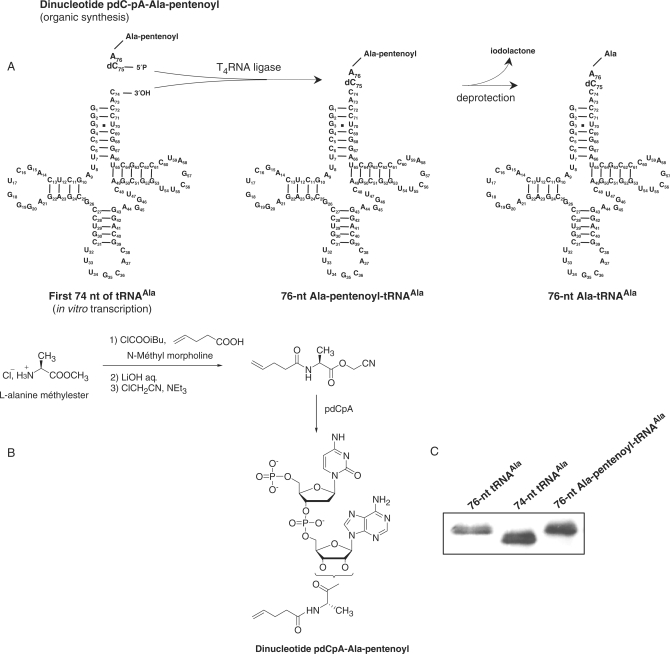 Figure 7.