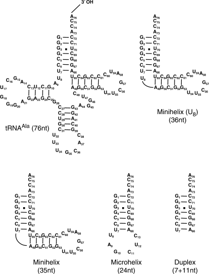 Figure 4.